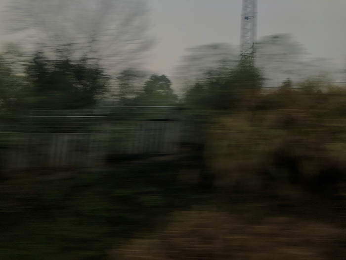 Ng Hon Lam Photography