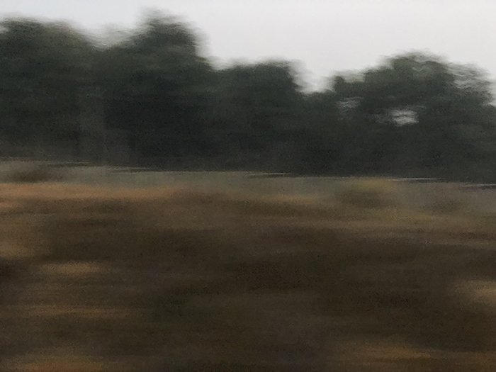 Ng Hon Lam Photography