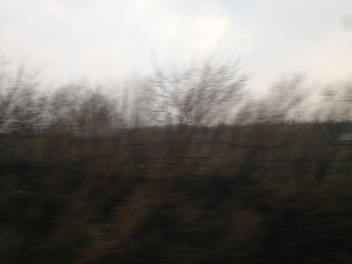 Ng Hon Lam Photography