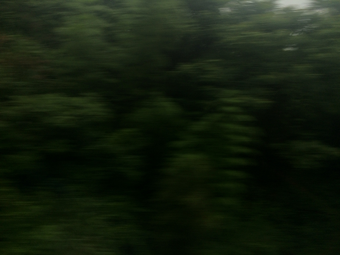 Ng Hon Lam Photography