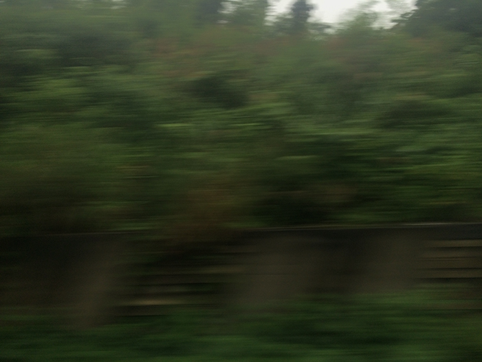 Ng Hon Lam Photography