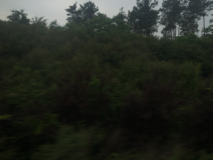 Ng Hon Lam Photography