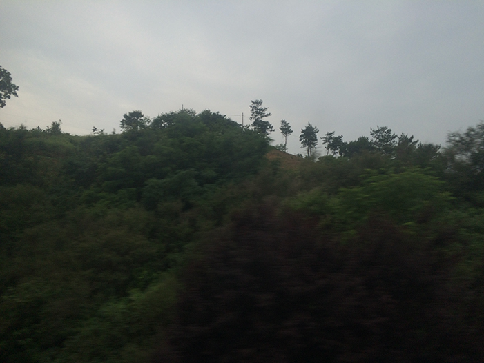 Ng Hon Lam Photography