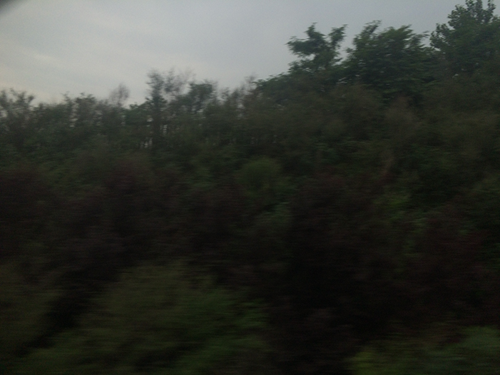 Ng Hon Lam Photography