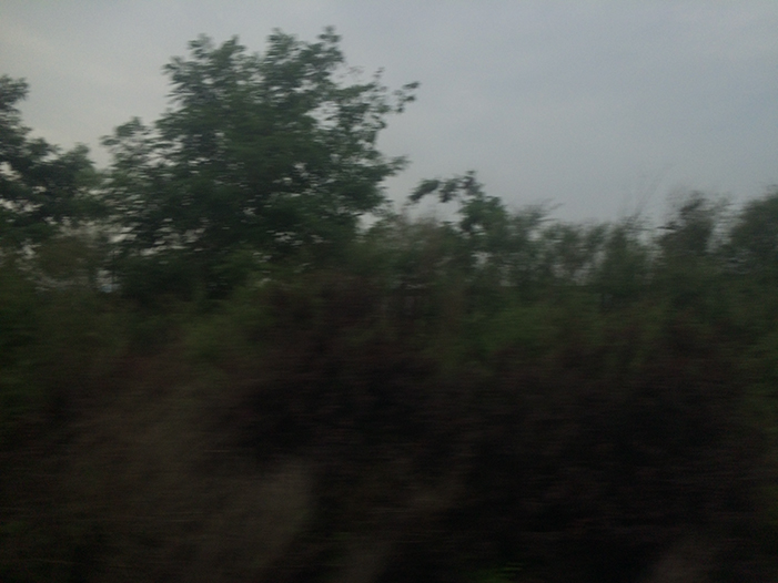 Ng Hon Lam Photography