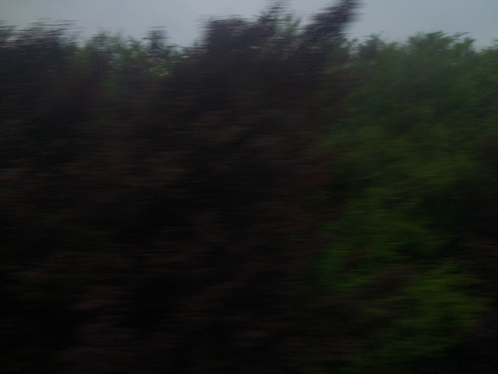 Ng Hon Lam Photography