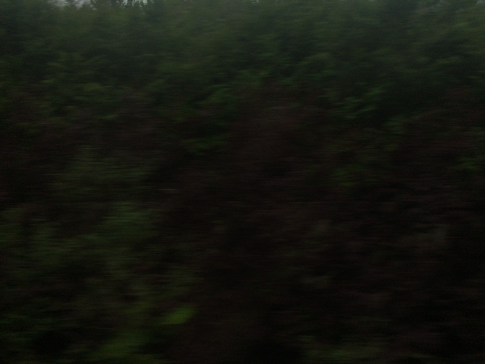 Ng Hon Lam Photography