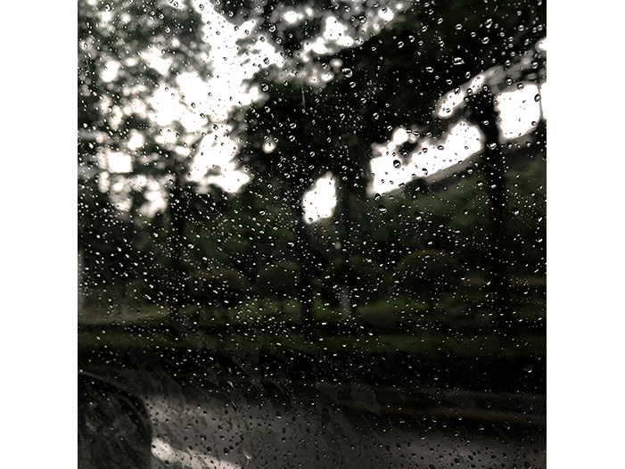 Ng Hon Lam Photography