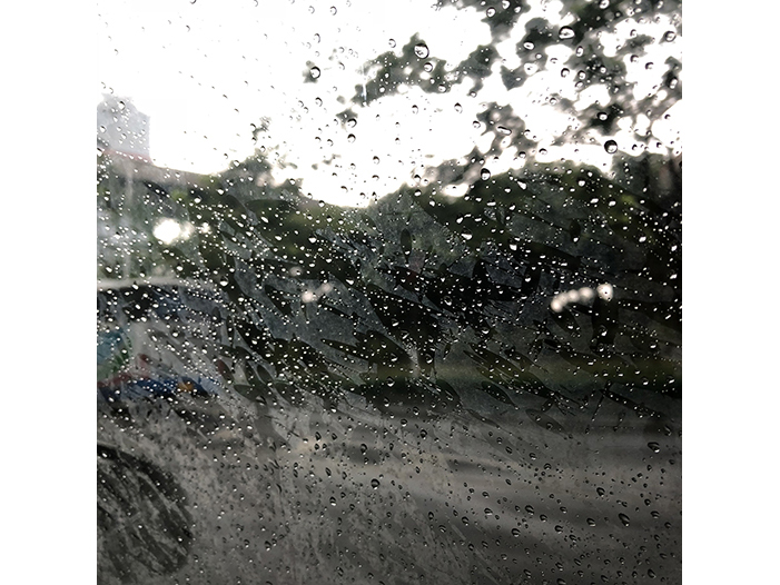 Ng Hon Lam Photography