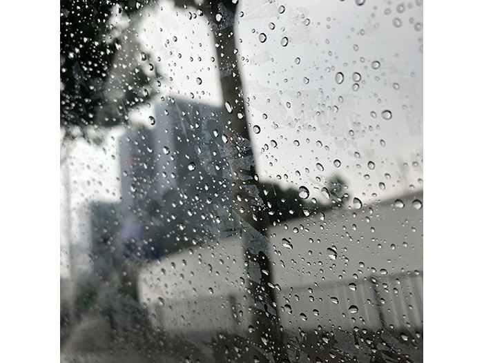 Ng Hon Lam Photography