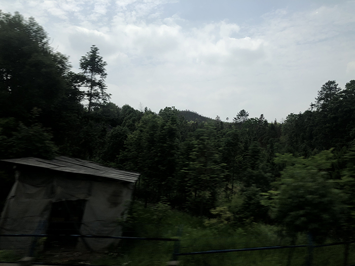 Ng Hon Lam Photography