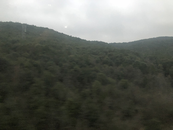 Ng Hon Lam Photography