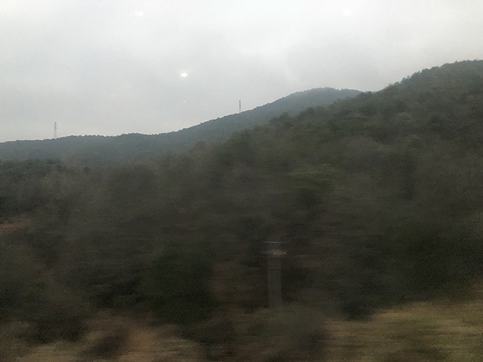 Ng Hon Lam Photography