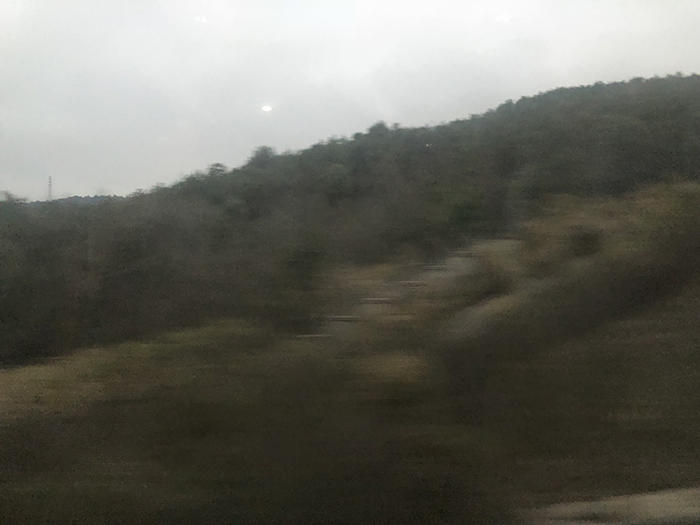 Ng Hon Lam Photography