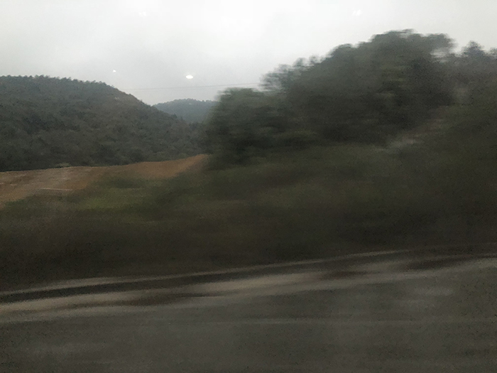 Ng Hon Lam Photography