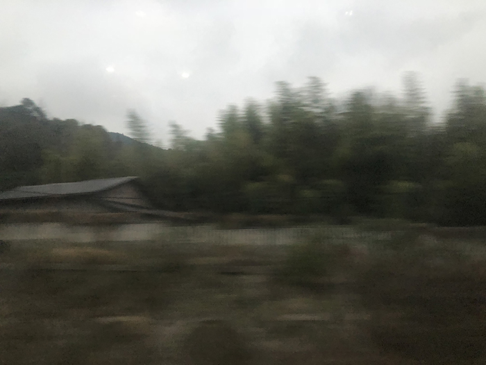 Ng Hon Lam Photography