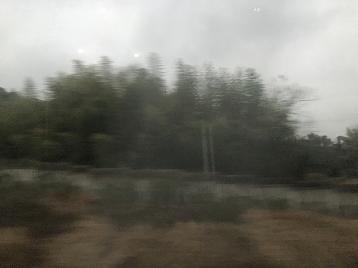 Ng Hon Lam Photography