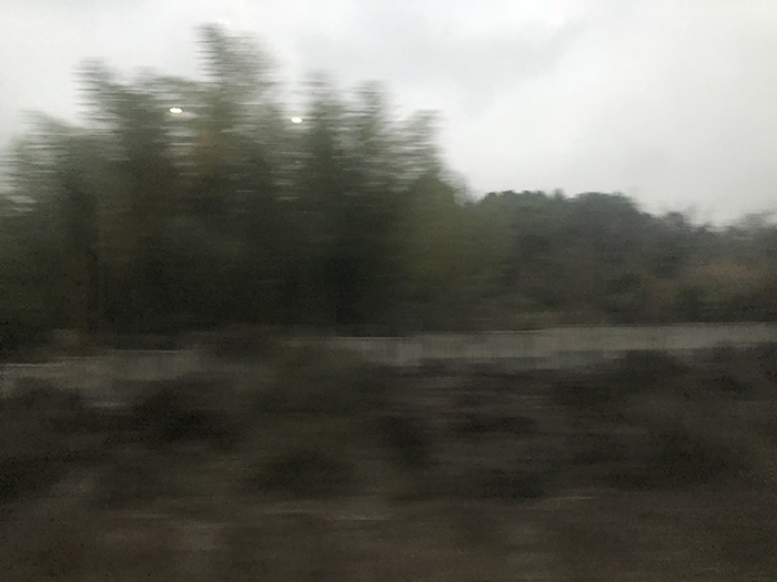 Ng Hon Lam Photography