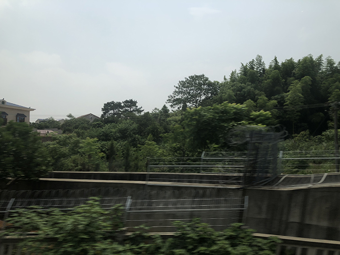 Ng Hon Lam Photography