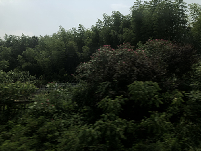 Ng Hon Lam Photography