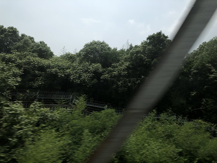 Ng Hon Lam Photography