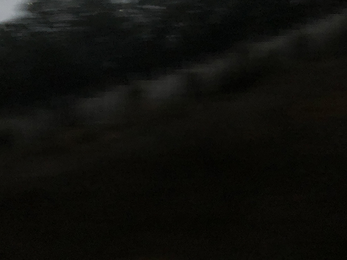 Ng Hon Lam Photography