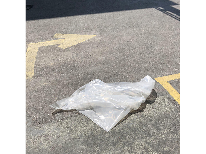 Ng Hon Lam Photography