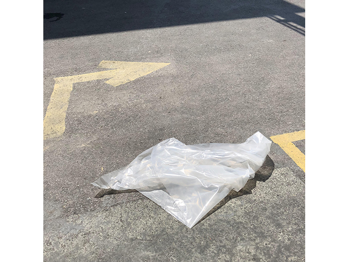 Ng Hon Lam Photography