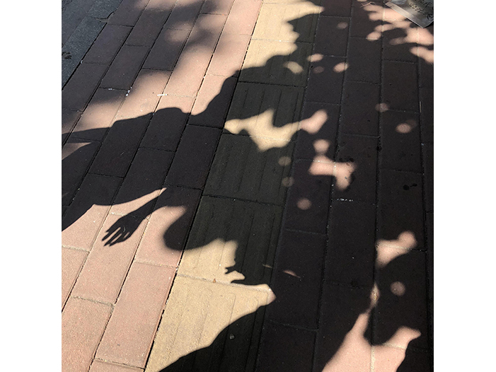 Ng Hon Lam Photography