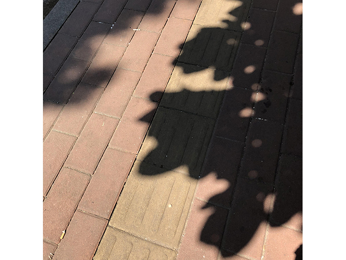 Ng Hon Lam Photography