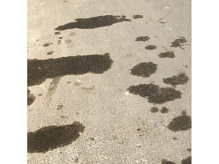 Ng Hon Lam Photography