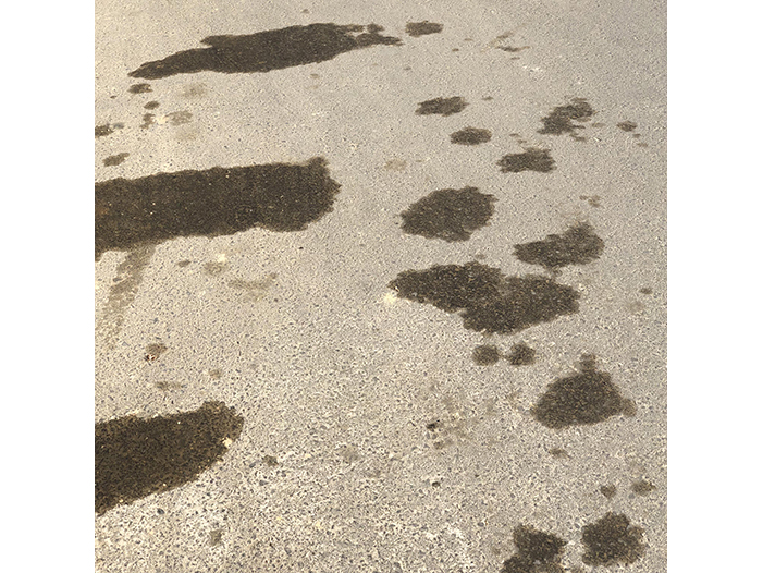 Ng Hon Lam Photography