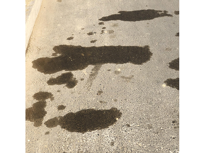 Ng Hon Lam Photography