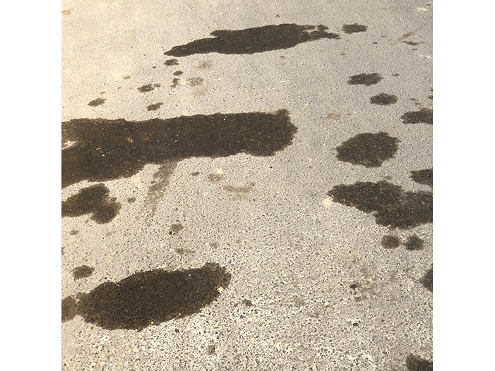 Ng Hon Lam Photography