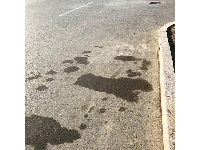 Ng Hon Lam Photography