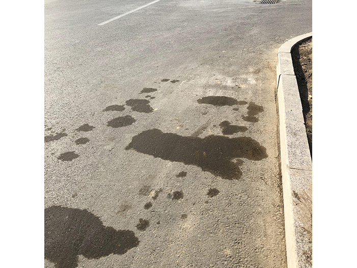 Ng Hon Lam Photography