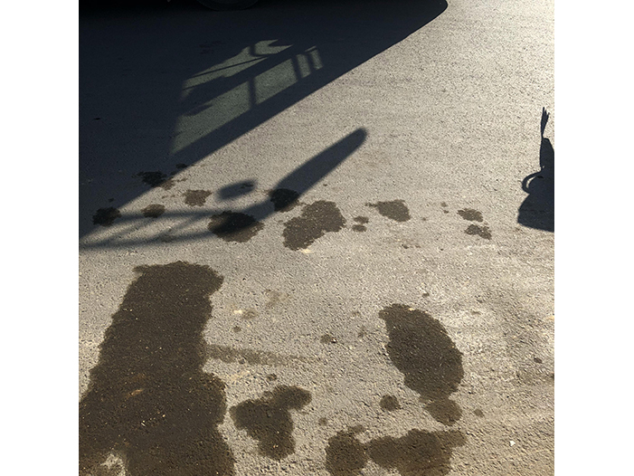 Ng Hon Lam Photography