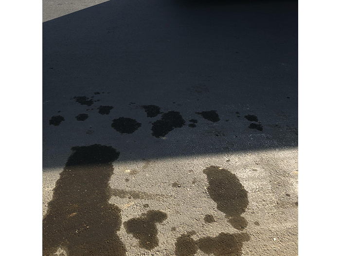 Ng Hon Lam Photography