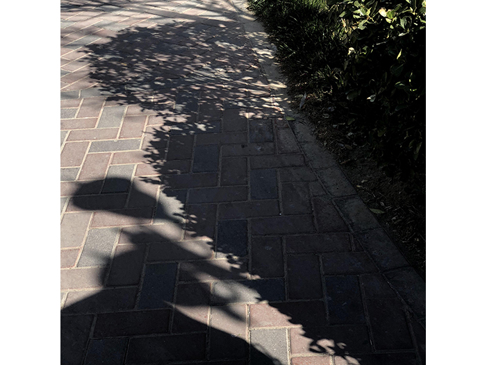 Ng Hon Lam Photography