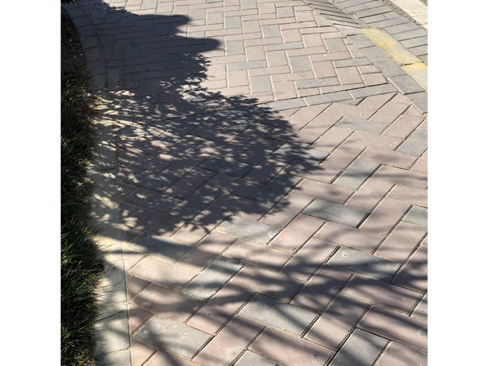 Ng Hon Lam Photography