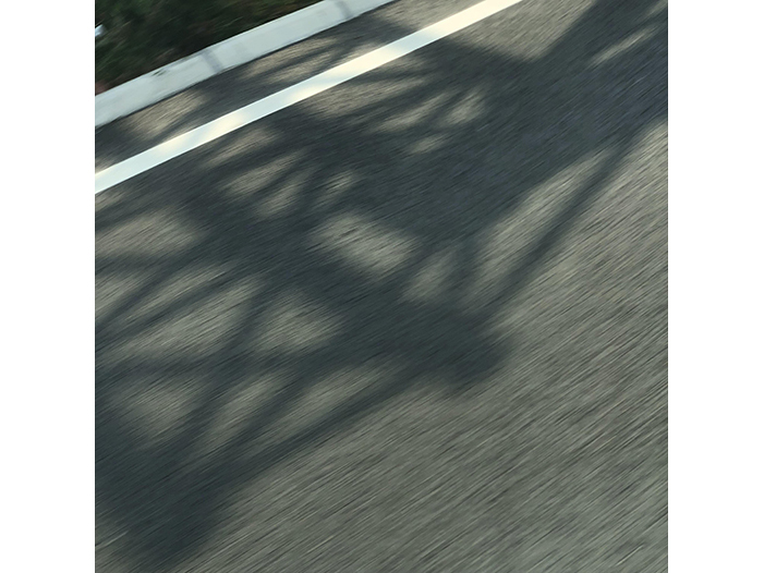 Ng Hon Lam Photography