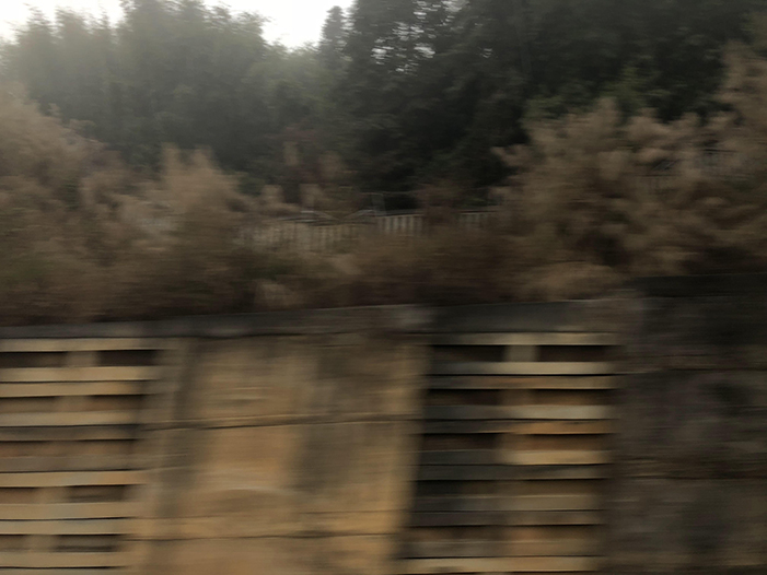 Ng Hon Lam Photography