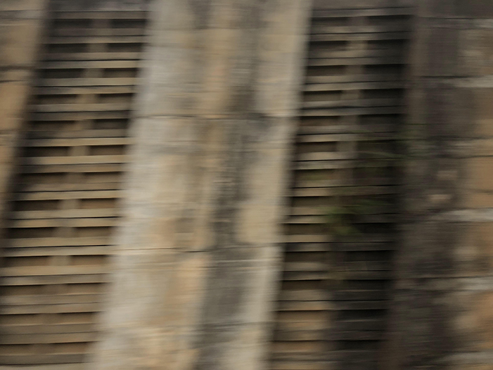 Ng Hon Lam Photography