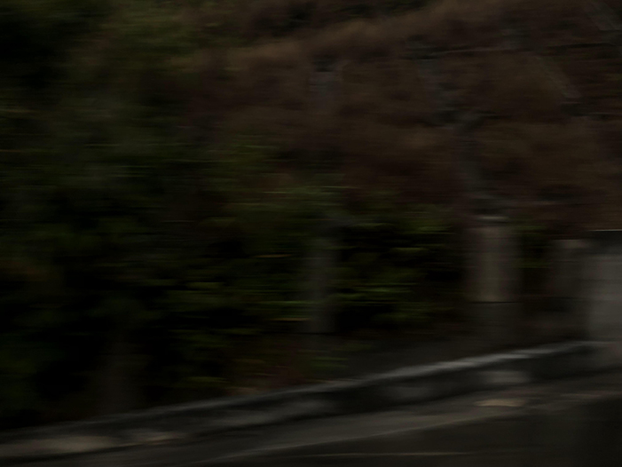 Ng Hon Lam Photography