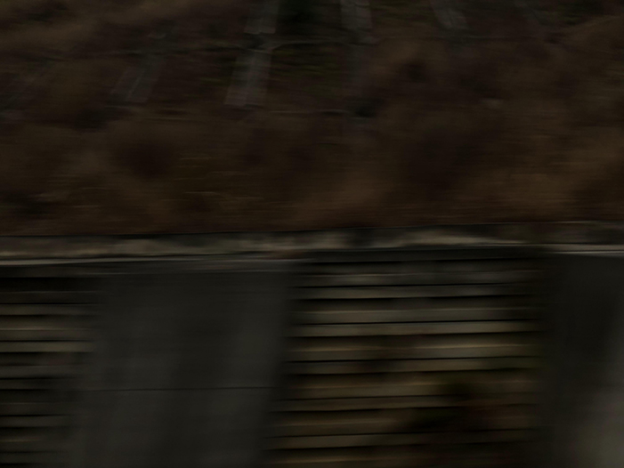 Ng Hon Lam Photography