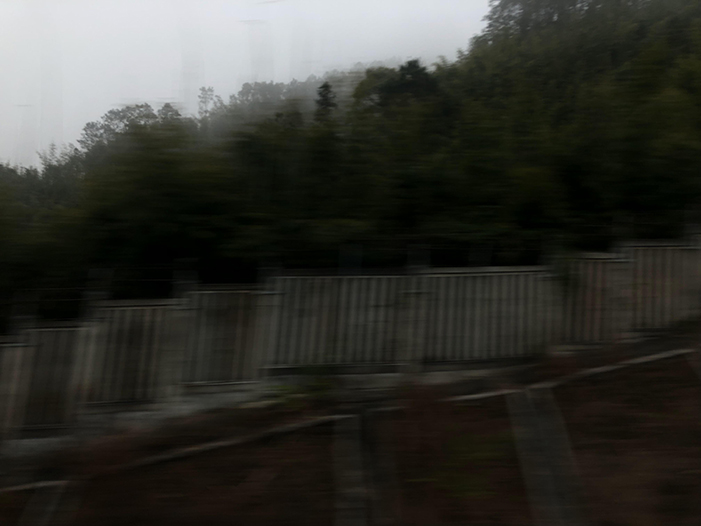 Ng Hon Lam Photography