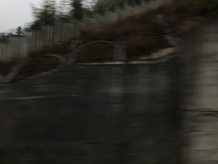 Ng Hon Lam Photography