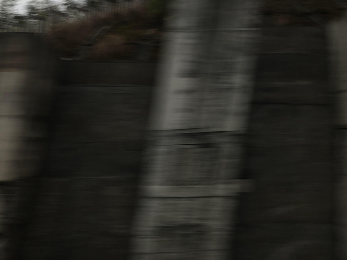 Ng Hon Lam Photography