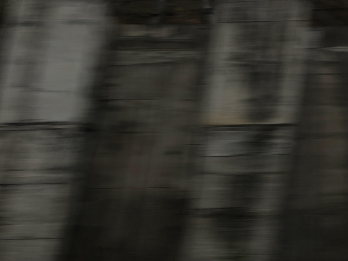 Ng Hon Lam Photography