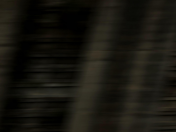 Ng Hon Lam Photography